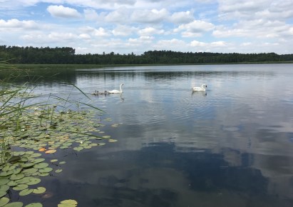 działka na sprzedaż - Włoszakowice, Boszkowo