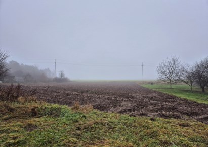 działka na sprzedaż - Bojanowo (gw), Giżyn